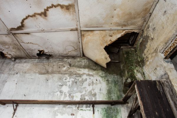 Water Damage Service in Lehi