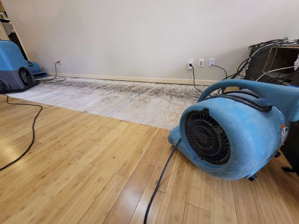Water Damage Mitigation in Lehi