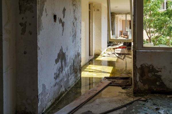 Water Removal Service in Lehi