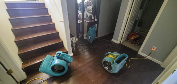 Water Damage Remediation in Lehi