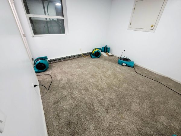 Flood Restoration Service in Lehi