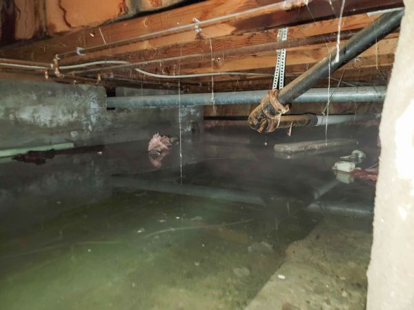 Water Mitigation Service in Lehi