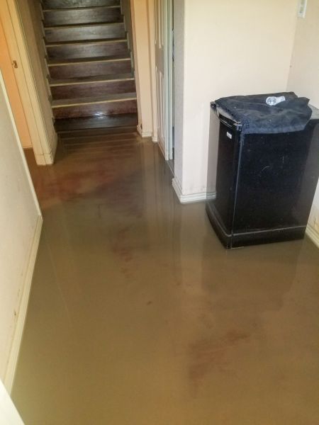 Emergency Water Removal in Lehi