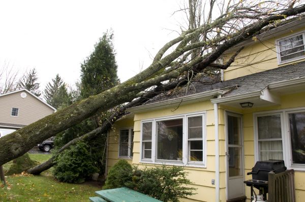 Hurricane Damage Repair in Lehi